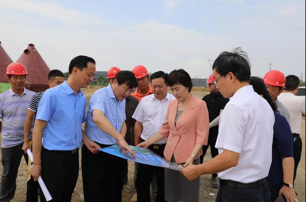 李愛武市長調(diào)研富強科技建設項目