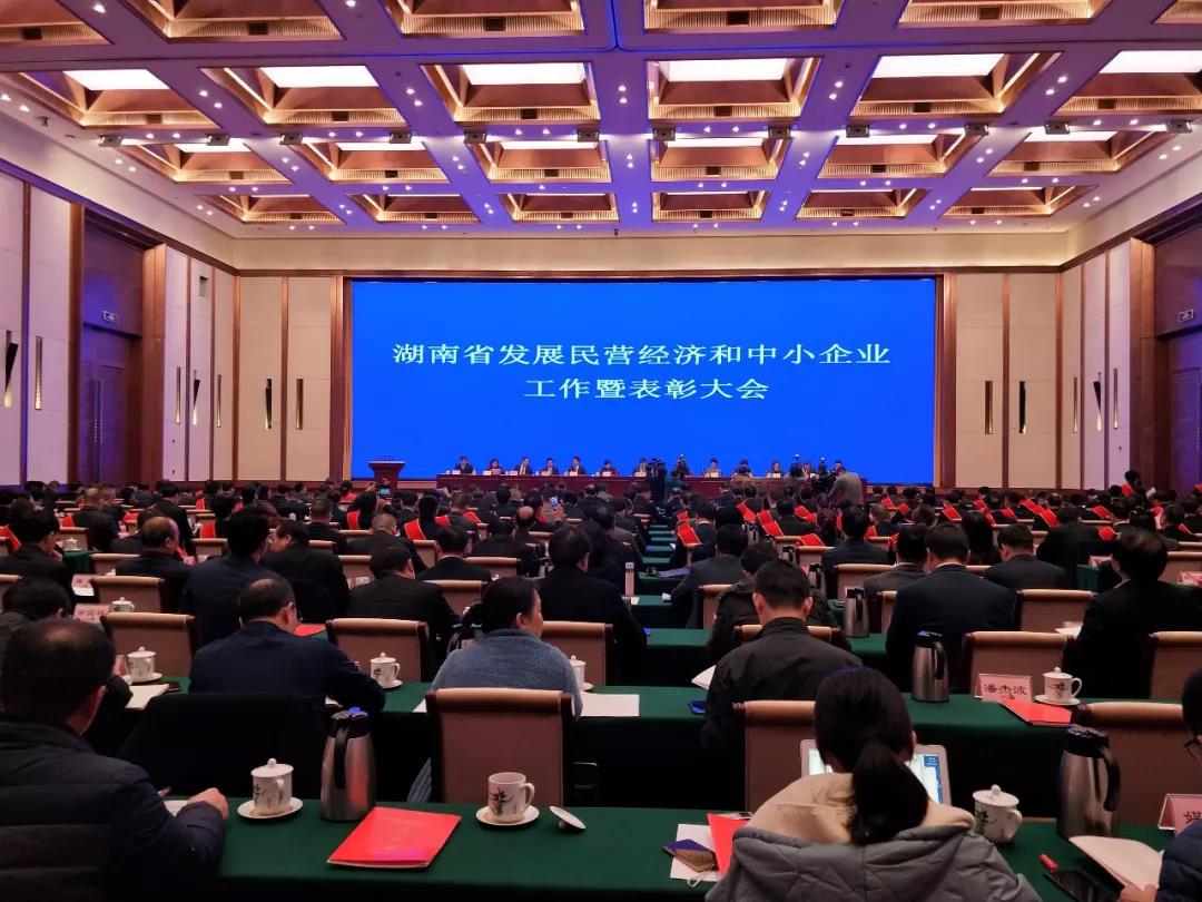 董事長王五星出席：湖南省發(fā)展民營經(jīng)濟和中小企業(yè)工作暨表彰大會